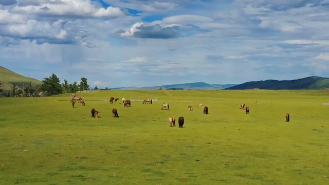 Ультра расслабляющая музыка для успокоения ума и прекращения мыслей ? Музыка для сна, души и тела смотреть онлайн