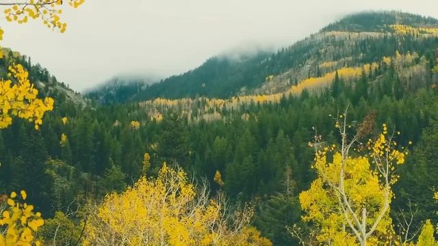 Решив завладеть деньгами жены, решил заточить в подвал, но она решилась на отчаянный поступок...