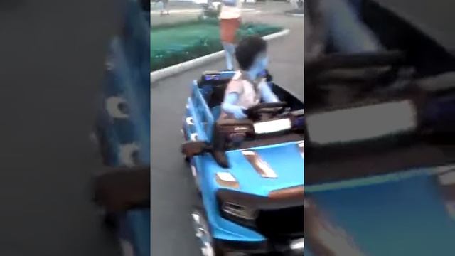 в бассейне игрушки колесо обозрения Тайная жизнь домашних животных Мистер Макс, спинер, Mister Max смотреть онлайн