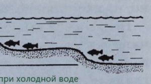 ГДЕ ИСКАТЬ КАРАСЯ РАННЕЙ ВЕСНОЙ,КАРАСЬ В МАРТЕ,ГДЕ ИСКАТЬ КАРАСЯ В МАРТЕ,карп