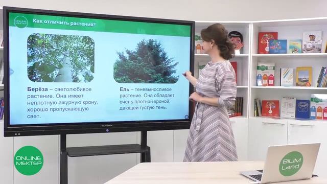 3 класс. Естествознание. 2 урок. Как свет влияет на растения? смотреть онлайн