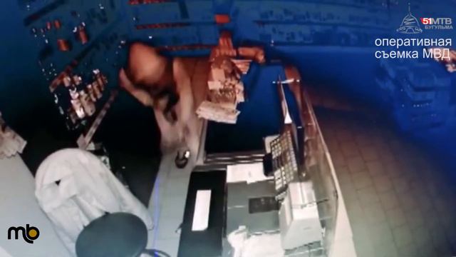 Полицейские Бугульмы установили подозреваемых в кражах, совершенных в магазинах. смотреть онлайн