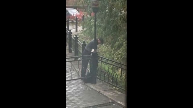 Полиция Тюмени проверит, зачем мужчина ловил уток на городском пруду смотреть онлайн