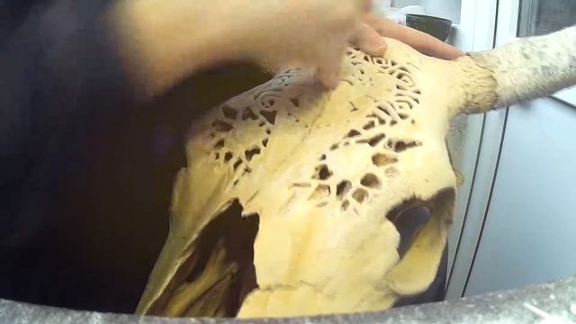 Skull carving / Резьба по черепу 2 смотреть онлайн