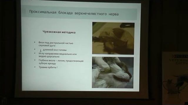 Семинар "Анестезия и хирургия". Лекция 9 смотреть онлайн