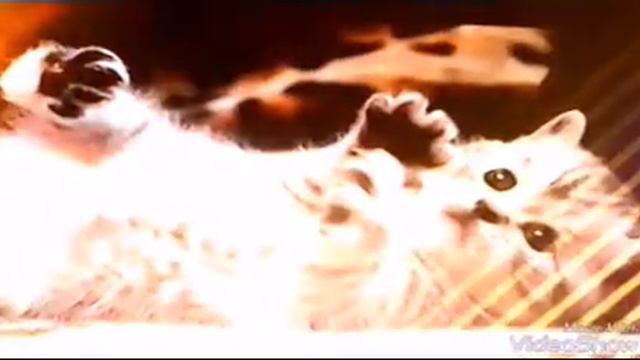 Lps просто котята смотреть онлайн