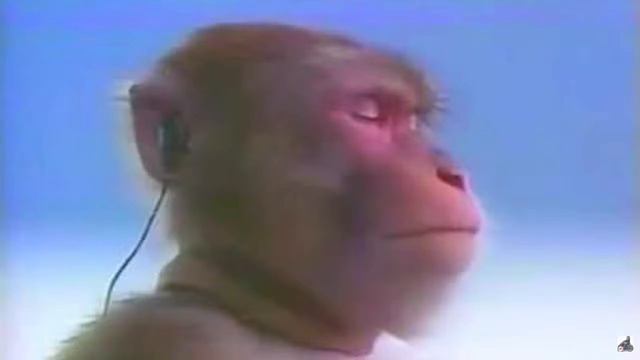 БОЖЕСТВЕННЫЙ ХРАП ДЕДА смотреть онлайн