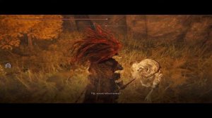 Elden ring - Как попасть в Священное заснеженное поле