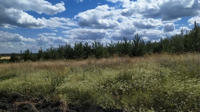 Приметы про окна в доме. Посмотрите на свои окна. Как мыть окна в доме.Про шторы на окнах смотреть онлайн