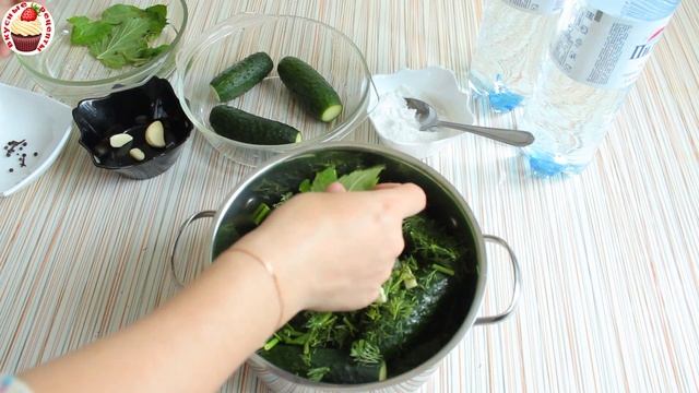 Фитнес и Тренировки