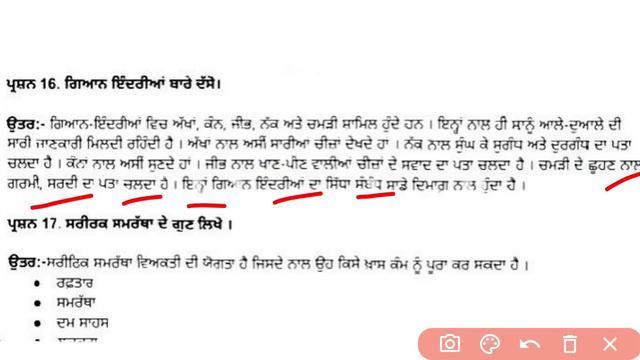 pseb 7th class physical paper final exam february 2024 | 7th class physical paper full solution смотреть онлайн