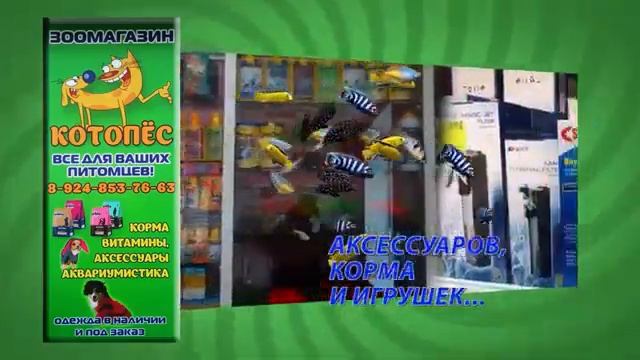 Зоомагазин Котопес смотреть онлайн