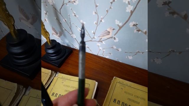 уникальная коллекция поэта Я.Полонского в центр библ Рязани им С.Есенина смотреть онлайн