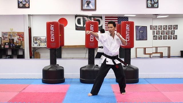 KARATE Lesson 16 - Karate Combo 6