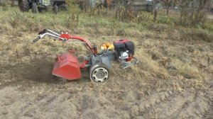 Мотоблок МОТОР СИЧ с фрезой  Дубль 2