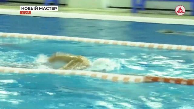 Урайский пловец стал мастером спорта международного класса 08-12-2022 смотреть онлайн