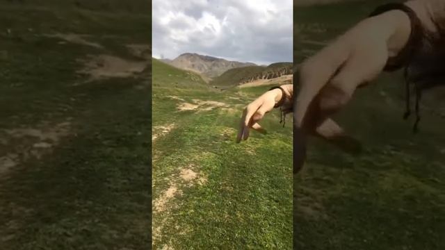 Русский против Таджика / Таджикистан Душанбе смотреть онлайн