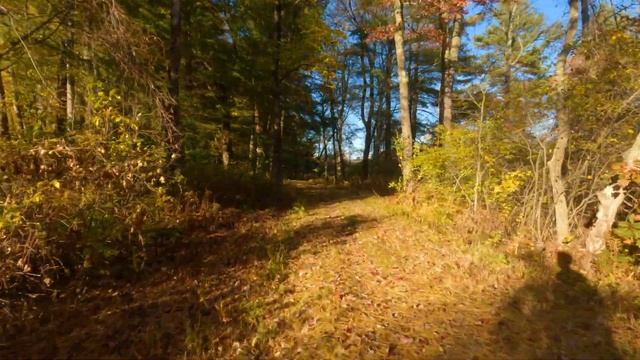 Virtual Running Videos For Treadmill (4k) | Peak Fall Foliage In New England |  Workout Scenery