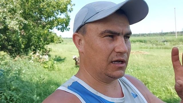 Козы на прогулке!!! смотреть онлайн