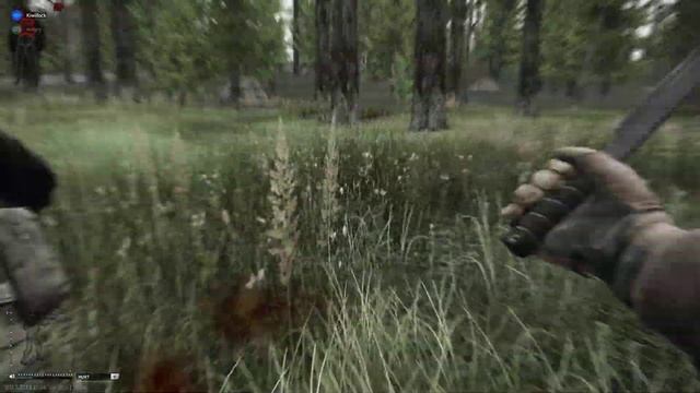 EFT - epic dumb fight смотреть онлайн