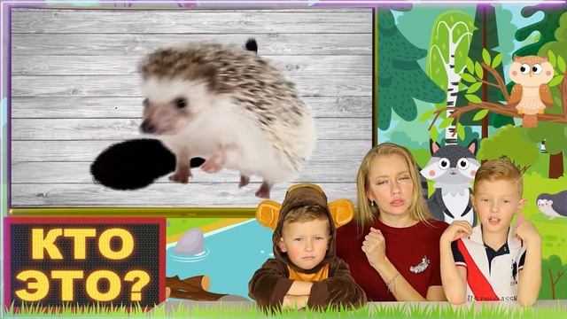 Что это за животное? ❤️ Дикие животные -Белка, Енот | Учим названия животных для детей на английско смотреть онлайн