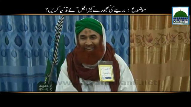 Madine Ki Khajoor Mein Keera - New Bayan - Maulana Ilyas Qadri смотреть онлайн