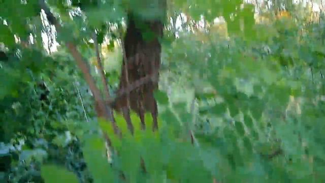 Природа г.Курахово. смотреть онлайн