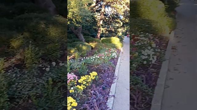 12 ноября прекрасный парк Фороса смотреть онлайн