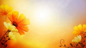 Футаж Цветы оранжевые