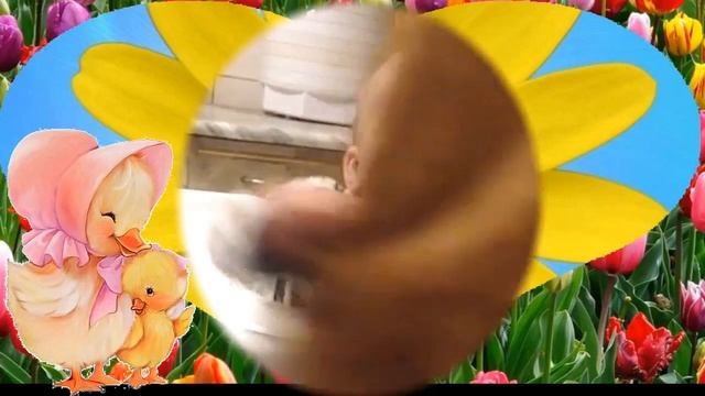 С Днём рождения Малыш!!! смотреть онлайн