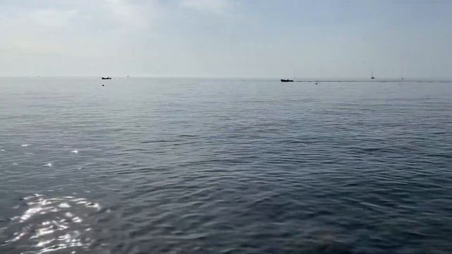 09.11.2021. Погода в Сочи в ноябре. Смотри на Чёрное море каждый день. смотреть онлайн