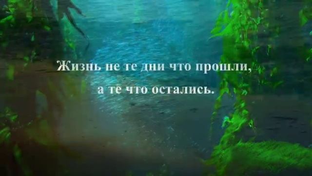 Остроумные и глубокие цитаты, над которыми стоит задуматься!Мудрые высказывания, цитаты и афоризмы смотреть онлайн