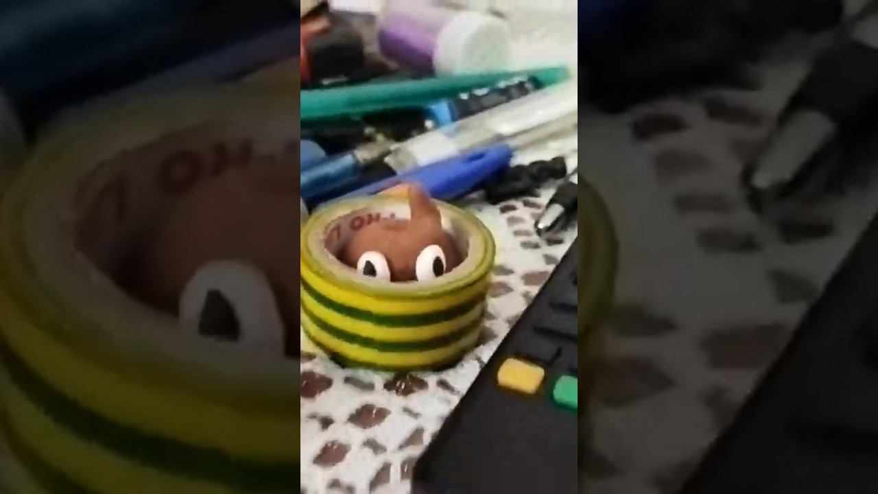 Гавешка и милая пчела #всегопонемногу #приколы #пластелин смотреть онлайн