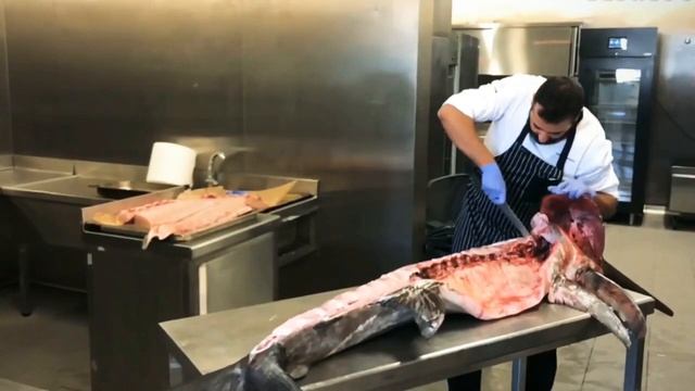 Крупный Марлин и Рыба Меч - Разделка Шеф-Поварами на Сашими смотреть онлайн