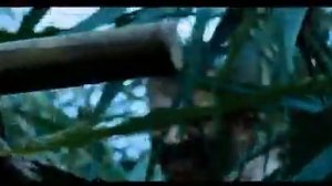 Охота на пиранью