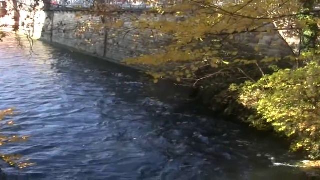 Deine Stadt Esslingen am Neckar.wmv смотреть онлайн
