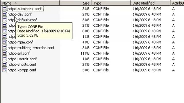 Install Apache 2.2.11, PHP 5.2.8, MySQL 5.1.30, and phpMyAdmin 3.1.1 with XAMPP & Server 2003. смотреть онлайн
