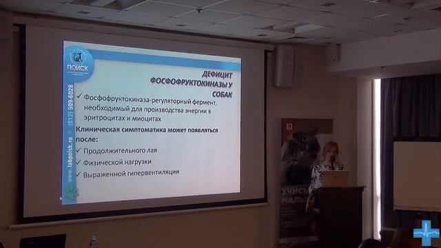 Влияние породы на результаты лабораторных тестов смотреть онлайн