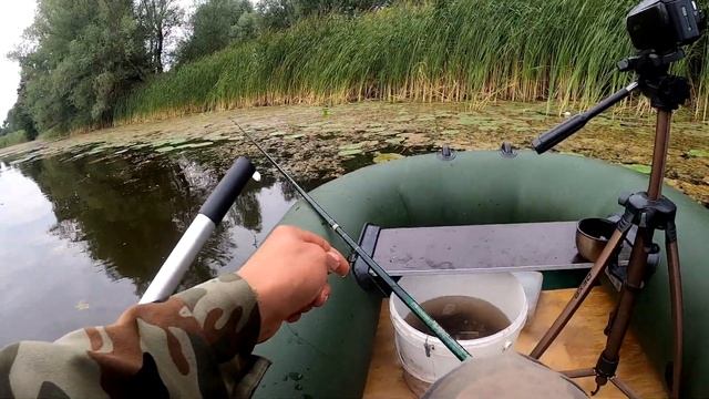 ЧТО ЛУЧШЕ? ЖИВЕЦ или ИСКУССТВЕННАЯ приманка! смотреть онлайн