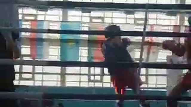 муа тай чимпионат казахстана тапаев бахтияр смотреть онлайн