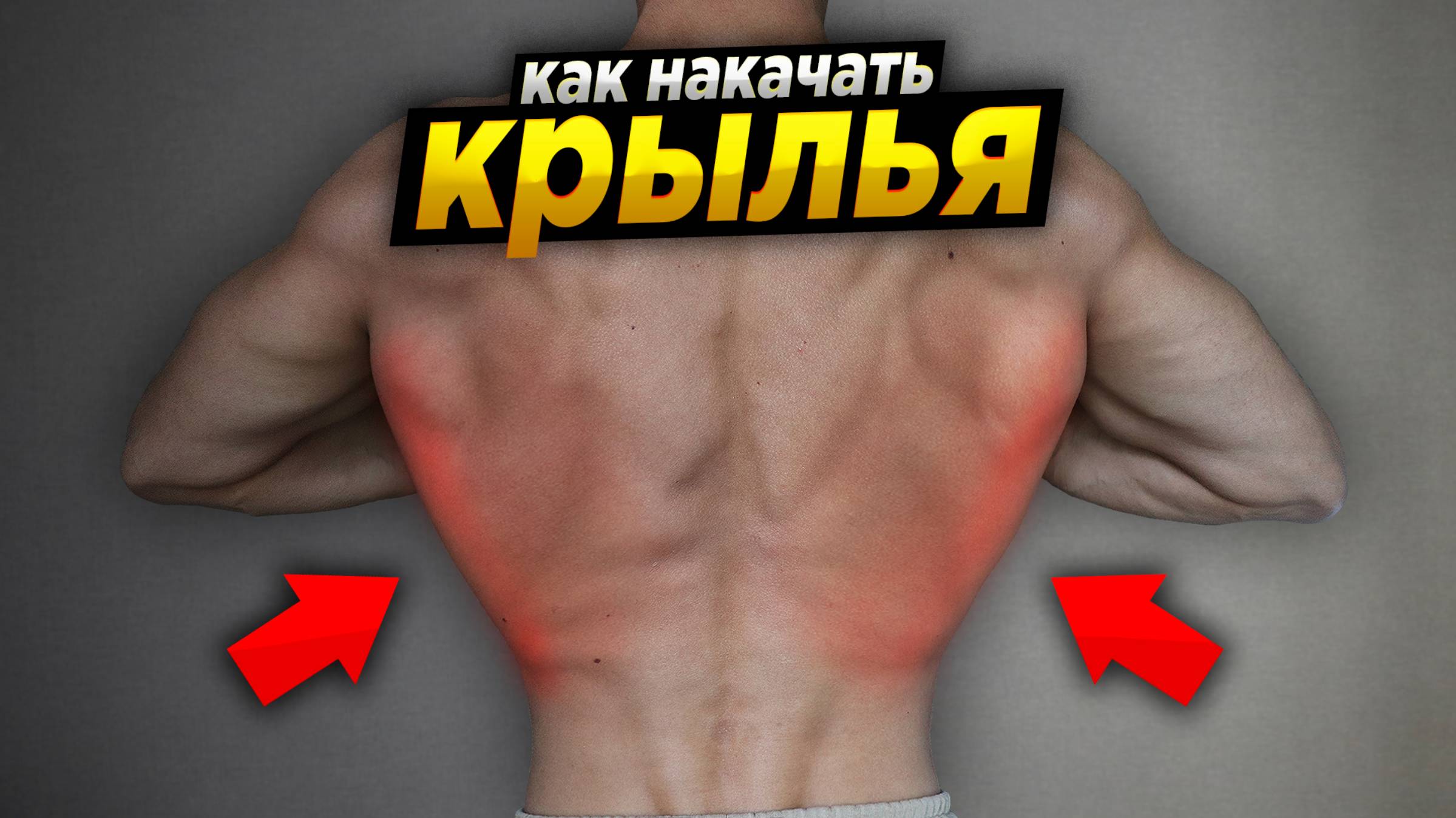 Как накачать "Крылья" на спине - упражнения для широкой спины смотреть онлайн