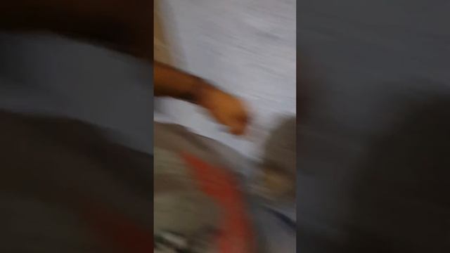 Armado recta industrial juki con g60 (1PARTE) смотреть онлайн