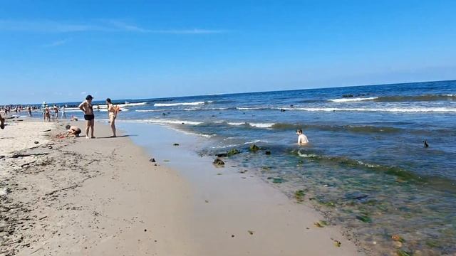 Зеленоградск - сковородка !#зеленоградск#кранц#курортроссии смотреть онлайн