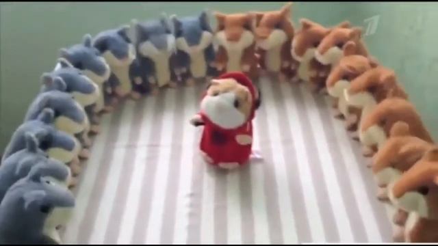 Просто ВИДЕО 27 Говорящий хомяк смотреть онлайн
