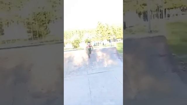 ШОК!!! МАЛЕНЬКИЙ МАЛЬЧИК ПОКАЗАЛ ПИС*Н СОБАКЕ смотреть онлайн