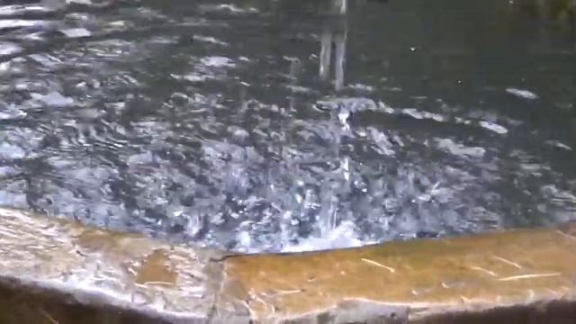 "Из Питера в Стокгольм" День третий смотреть онлайн