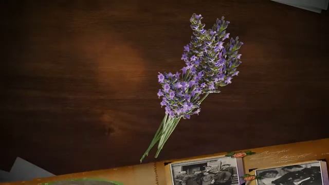 Заказать слайд шоу на 70 лет маме и бабушке смотреть онлайн