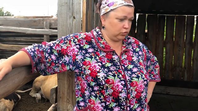 ВЧЕРА ЧУТЬ НЕ РАСПЛАКАЛАСЬ ОТ ОБИДЫ! смотреть онлайн