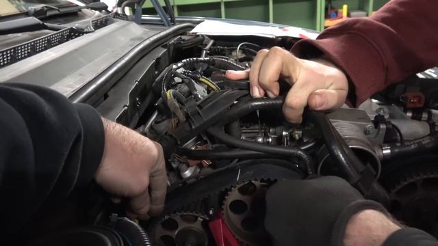 Vectra B V6 - Service, Zahnriemen und Rippenriemen - Teil 4 [4K] смотреть онлайн