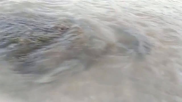 Сновидения о реке.mp4 смотреть онлайн